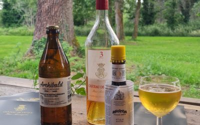 Atelier œnologie autour de l'Armagnac